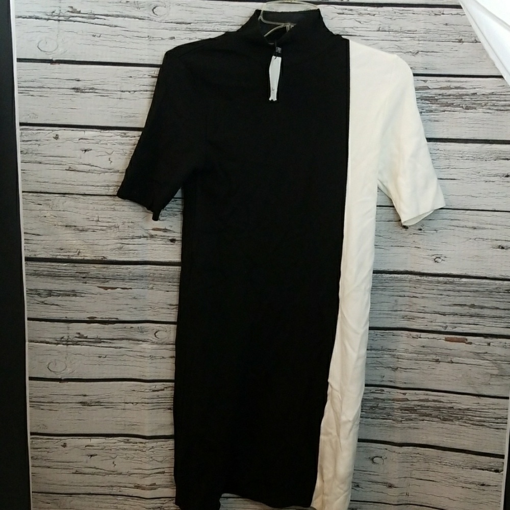 NWT Zara knit high neck block short sleeve dress